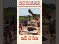 బాచుప్పల శివాలయ పునర్నిర్మాణం: శరవేగంగా జరుగుతున్న పనులు | One Day Seva | Sri Shankara Guruji