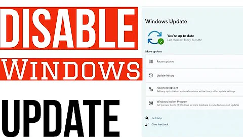 How to disable Windows 10/11 Updates in 1 minute