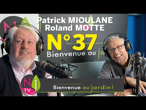 Vidéo: Contrôle de l'épine-vinette du Japon : conseils pour éliminer l'épine-vinette du Japon