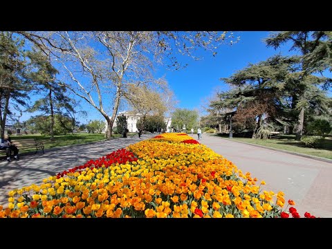 Приморский бульвар,тюльпаны🌷🌷🌷,Графская пристань,центр