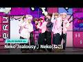 RELAY DANCE ver.｜Neko(ねこ)｜コンセプト評価