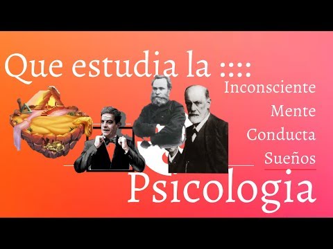 Vídeo: Què Estudia La Psicologia