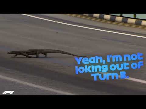 Max verstappen ?there?s a giant lizard on the track? #f1 #maxverstappen
