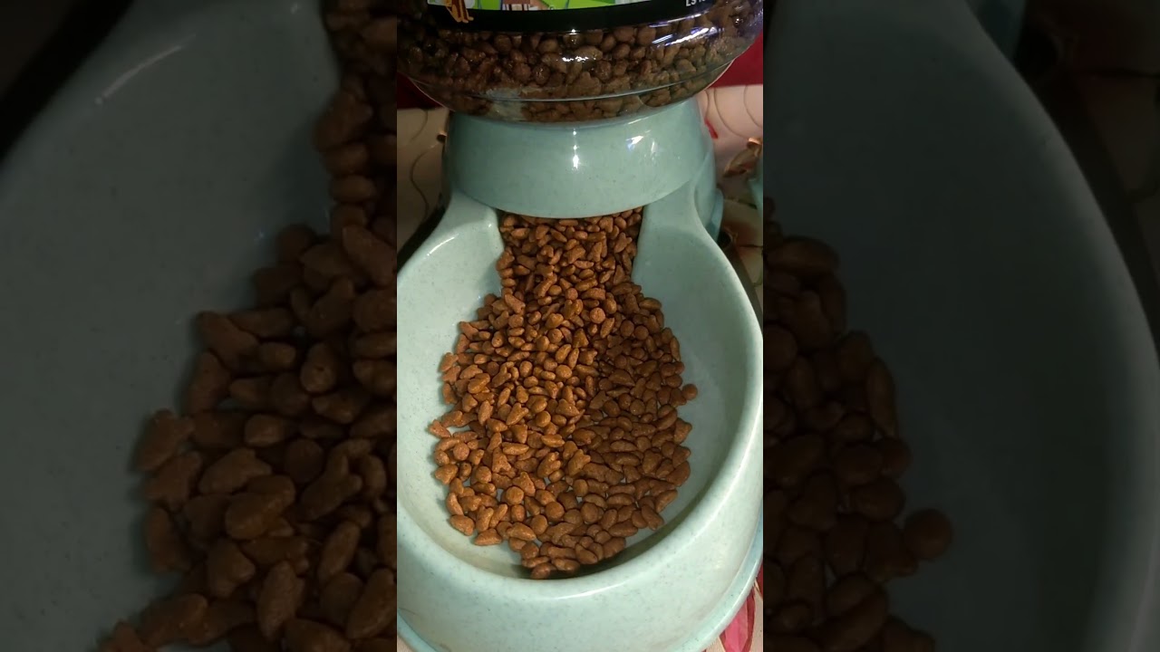 PET FEEDING DRINKERS, CAT DOG AUTOMATIC FEEDER, LARGE CAPACITY DISPENSER 