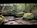 Jungle Stream Sounds: Flowing Water Sounds for Sleeping Problems, Insomnia & Instant Stress Relief