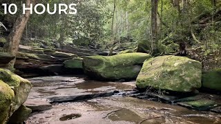 Jungle Stream Sounds: Flowing Water Sounds for Sleeping Problems, Insomnia & Instant Stress Relief