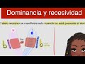 DOMINANCIA y RECESIVIDAD