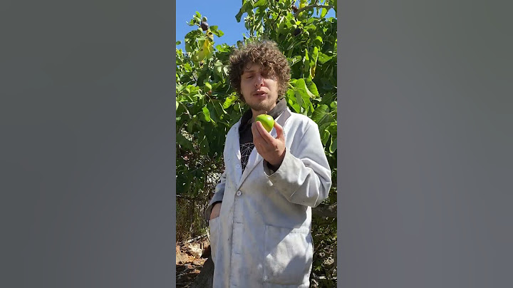 Want To Learn More About Apples? #shorts
