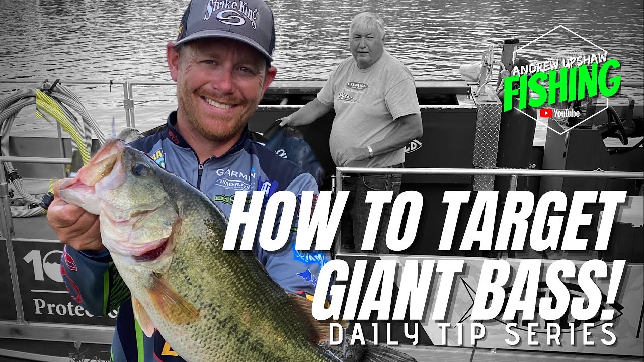 Pro Secrets Exposed! How to Target Bass Larger than 9 Pounds! (Ep. 41) -  YouTube