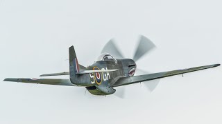 : DCS World: P-51D Mustang.  