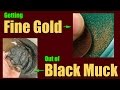 Cleaning FINE GOLD Out of Heavy Black Sands