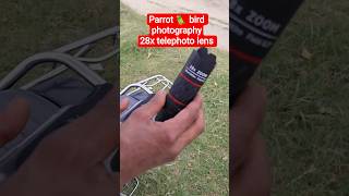 28x telephoto lens for smart phone camera || wildlife bird photography with mobile zoom lens