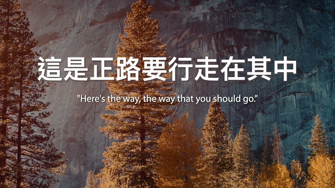 【原版伴奏】我心堅定於祢 | 小羊詩歌 (Backing Track)