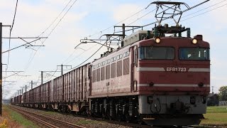3093レ　EF81 723　20141015