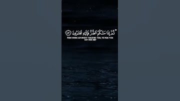 سورة النحل الآية 51 و 56 بصوت القارئ محمد الفقيه
