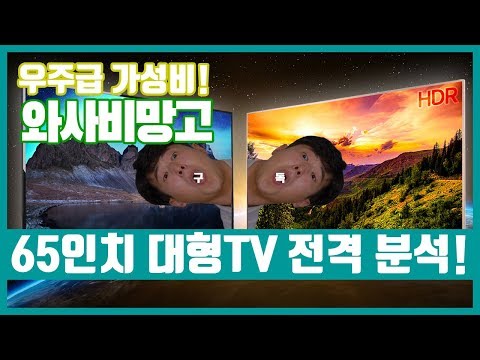우주급 GOD성비 TV! 와사비망고 65인치TV 두 제품! ☆★전.격.비.교★☆