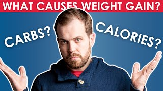 Do carbs make you fat?