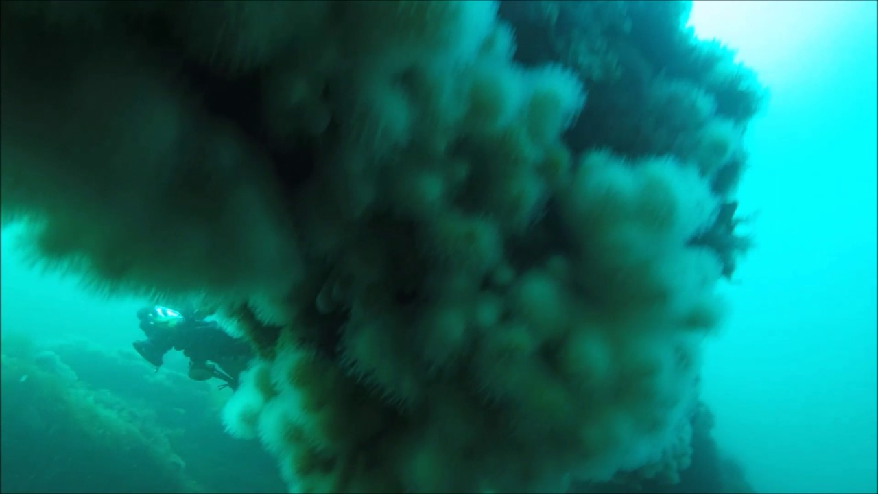 Diving the Clan McMaster in IOM