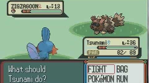 Mudkip Only Run Part 10- Training to the MAX!