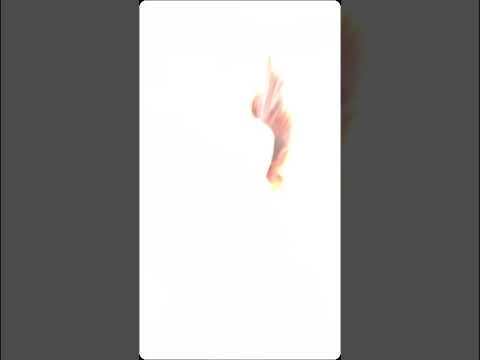  باريش باكتاش ويامور يوكسال تصميم جديد