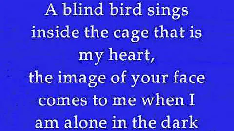 DELA by Johnny Clegg (Lyrics)