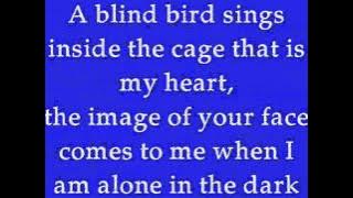 DELA by Johnny Clegg (Lyrics)