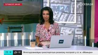 Реставрация павильонов ВДНХ Москва 24