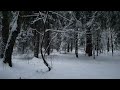 Зимняя прогулка | Балашиха | DJI Mini 3 Pro | 4K 60 fps