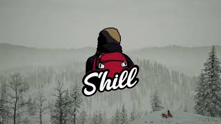 SHill - The Witness [Chillout]