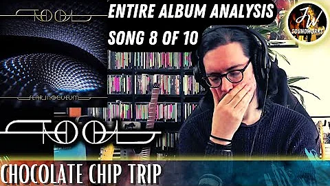 Musical Analysis/Reaction of TOOL - Chocolate Chip Trip