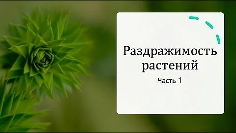Раздражимость Растений