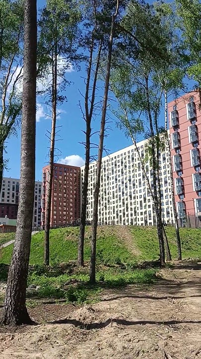 Первое мая и шашлык в ЖК ТОМИЛИНО-ПАРК #самолет #люберцы #мирный # ...
