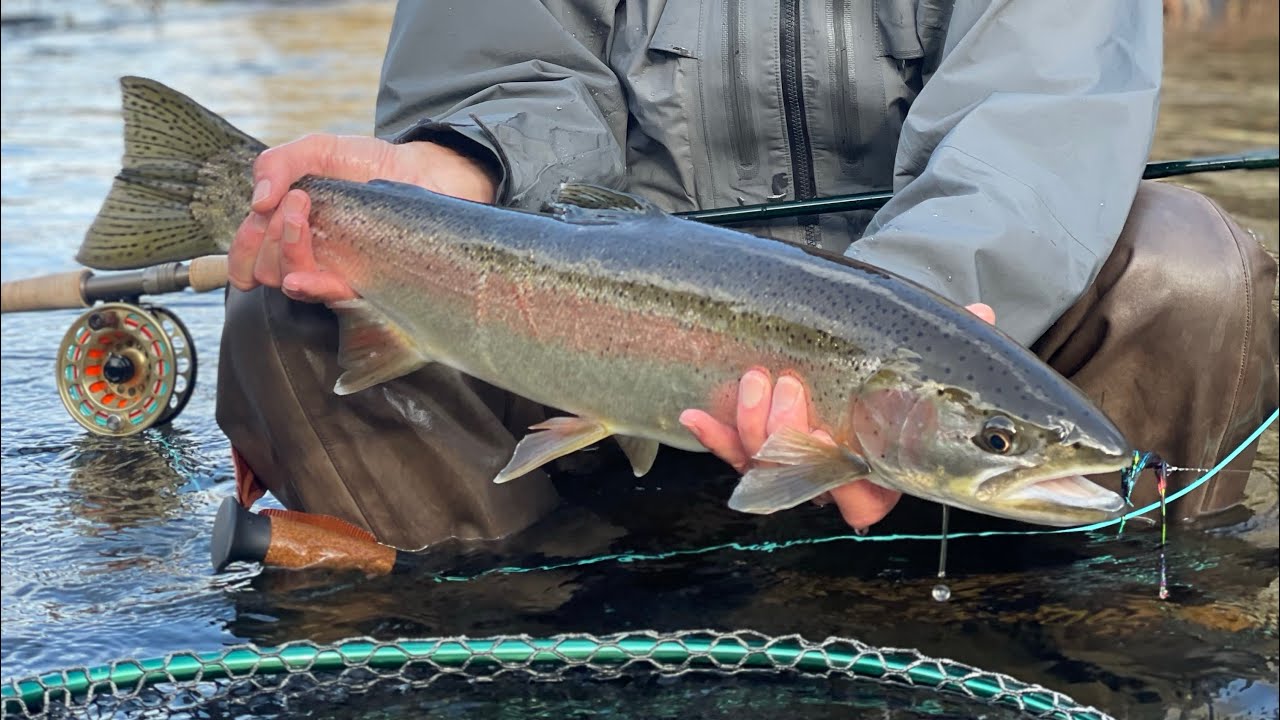 How to Tie Steelhead Stinger hooks on Shank Flies 