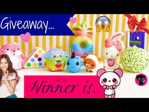 Dream Squishy winner announcement! Fidget spinner, TY Cheetah Jelly- KIMYOKITTEN