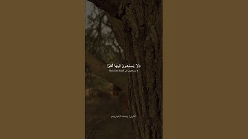 يوسف العيدروس سورة النبأ