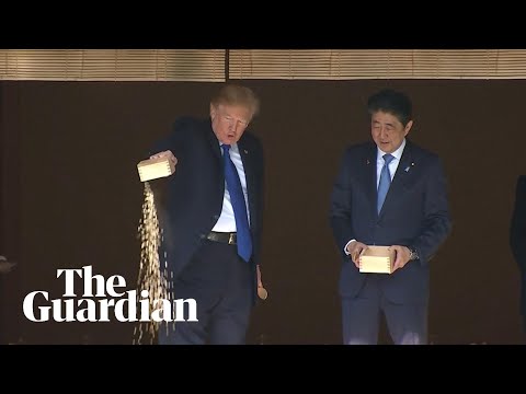 Trump and Abe dump fish food into precious koi pond