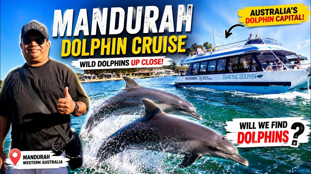 MANDURAH DOLPHIN CRUISE | We Found Wild Dolphins in Western Australia 