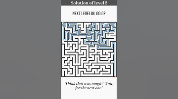 Maze Puzzle Challenge 🌀 | Can You Solve All 3 Levels FAST?