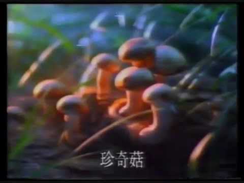 [香港經典廣告]（1994）靈智靈神健體