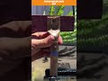 Upcycled Mini Saw Grass Rake