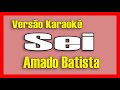 Amado Batista  - Sei - Karaokê