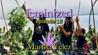 KEEP ON HEMPIN Martha Velez Oak Cliff Cultivators | Grow House Media Feminized with Liz Grow | EP 16