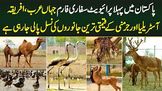 Pakistan's First Private Safari Farm  All Expensive and Rare Animals' Breeding in One Place