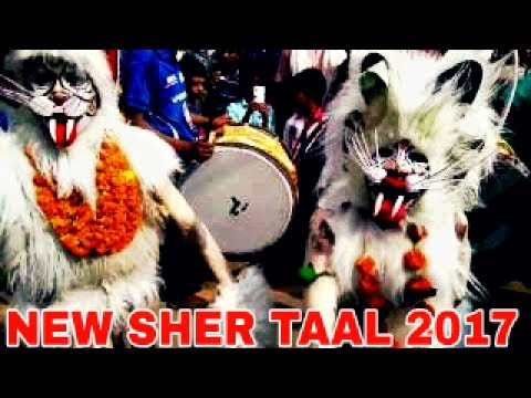 WORLD BEST DHUMAL NEW SHER BAJA DJ MIX 2017