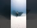 Poseidon- Freediving the underwater world in Malta 🔱 No O2 , apnea , breath hold . P31 shipwreck.