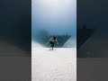 Poseidon- Freediving the underwater world in Malta 🔱 No O2 , apnea , breath hold . P31 shipwreck.