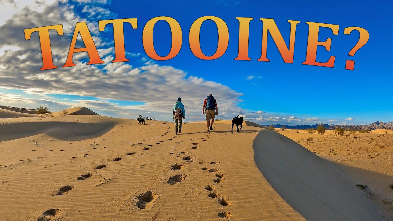 Hiking in the Algodones Sand Dunes YouTube