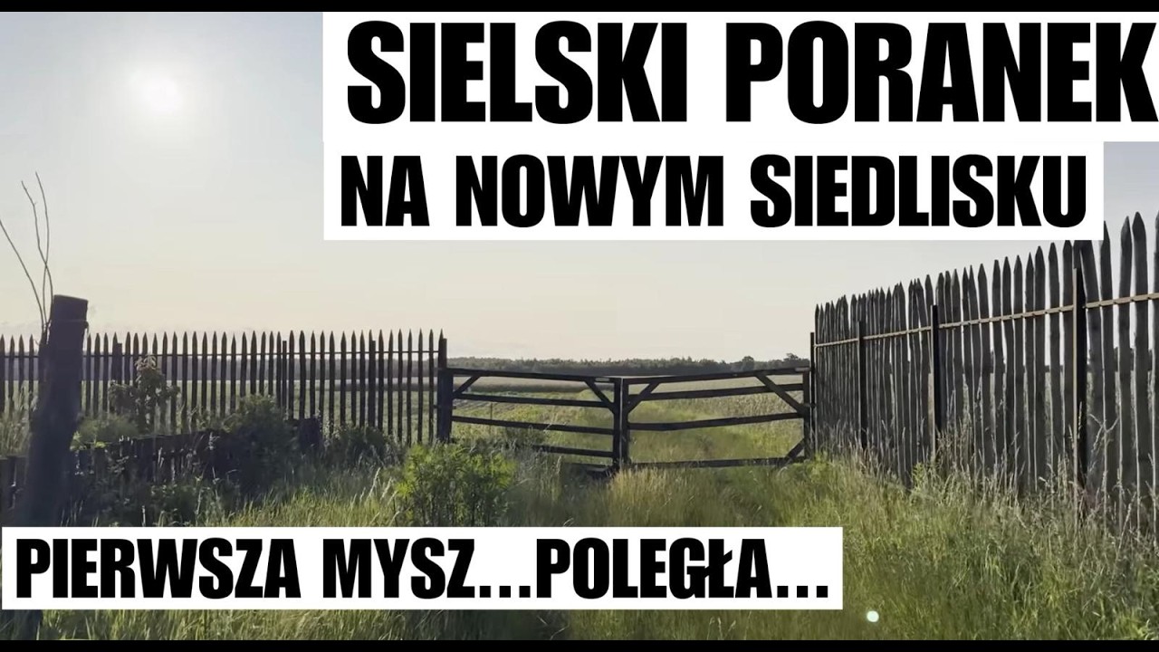 SIEDLISKO WYGRAŁO Z MYSZĄ! Ola testuje NOWĄ PAROWNICĘ ! PRZYJAZD PIERWSZYCH GOŚCI NA WIEŚ