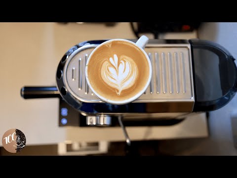 Video: Watter melk skuim die beste nespresso?