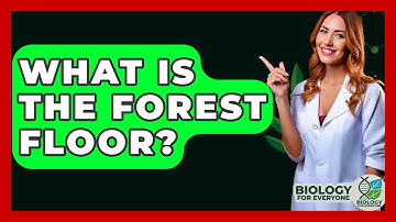 What Is The Forest Floor? - Biology For Everyone